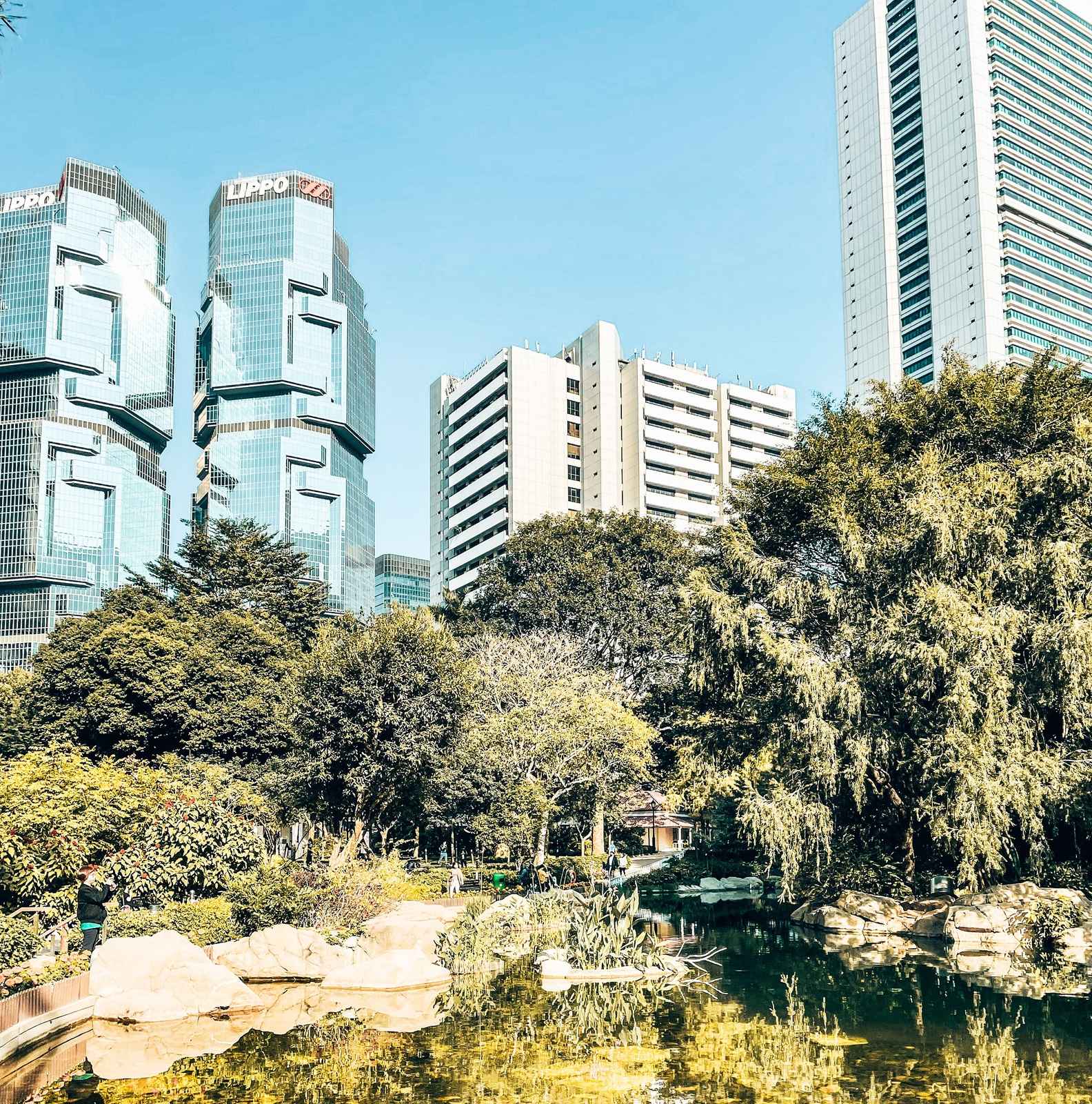 牛津大学举办在线讲座探讨城市尺度生物多样性促进策略（此处为标题）