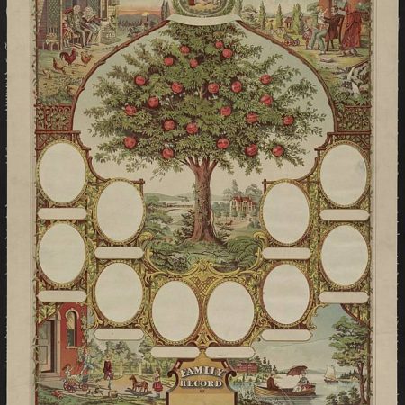 How to begin your Family Tree