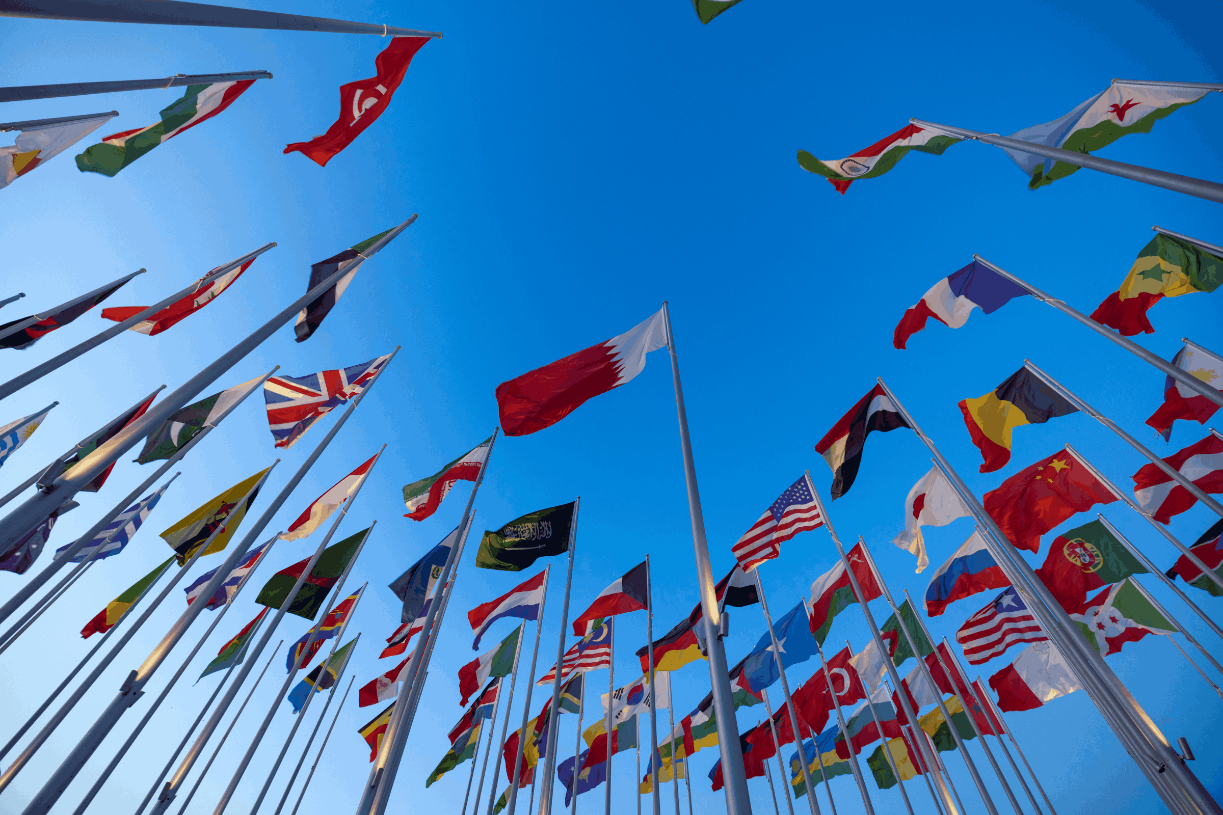 Diplomatic studies and international relations