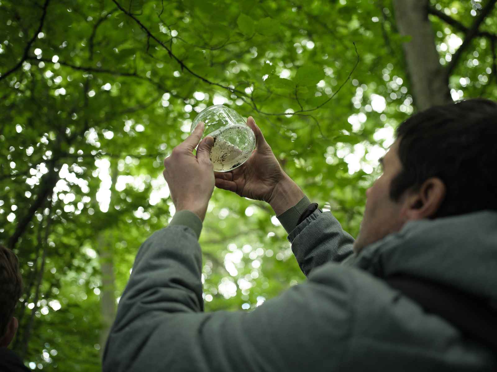 Ecology student observing pond water contents using glass jar