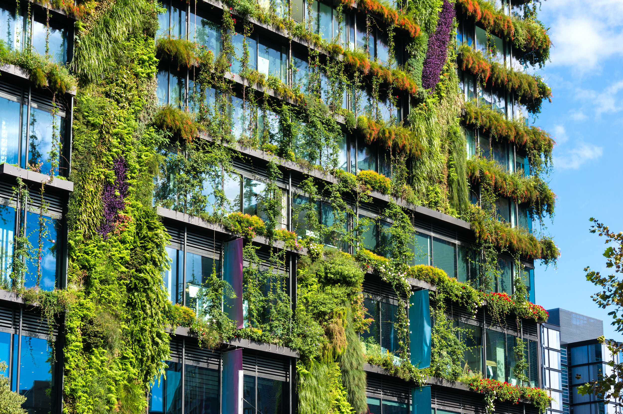 Modern green skyscraper in Sydney, Australia, featuring a facade covered in extensive vertical gardens.