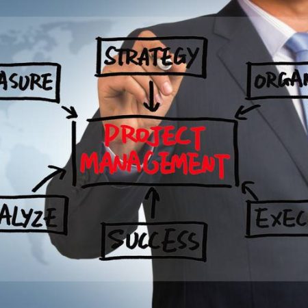 Project Management (online)