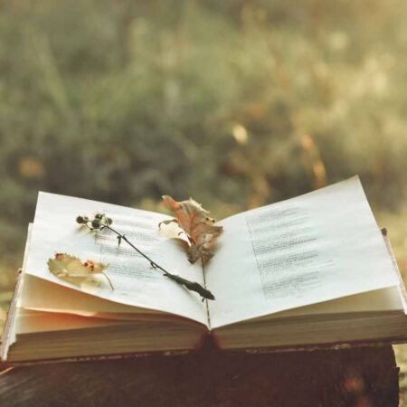 Getting Started in Nature Writing