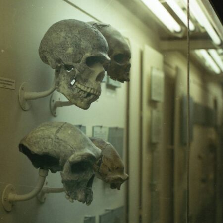 Anthropology Applied