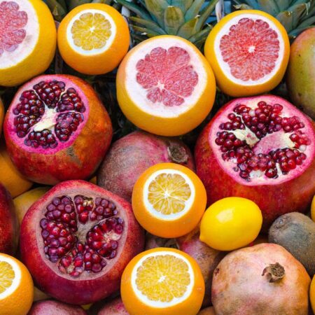Exploring the Basics of Human Nutrition