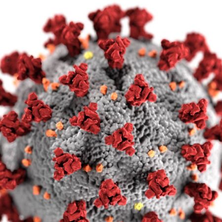 The Biology of Viral Infections