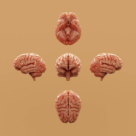 Exploring Cognition