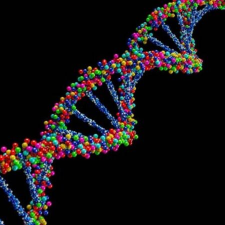Bioethics for Beginners