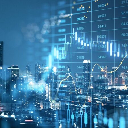 Public Policy Economics