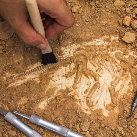 Archaeology in Practice