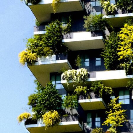 Climate Change and Cities