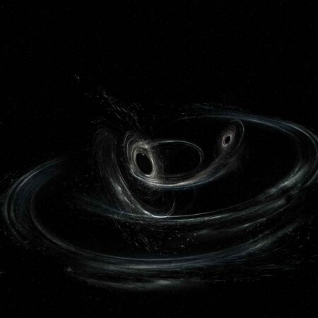 The Life and Times of Black Holes