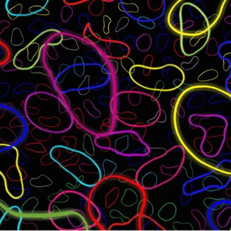 Quantum Gravity and the Theory of Everything