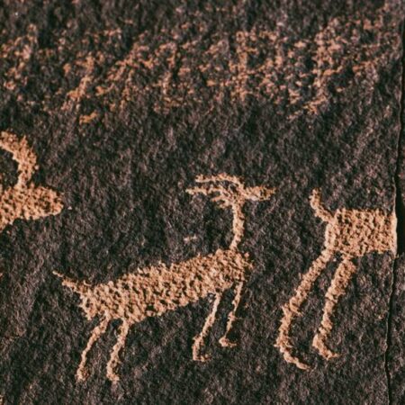 The History of Humanity in Eight Species