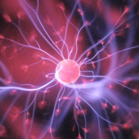 Brain and Behaviour
