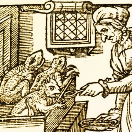 The Witch: A History
