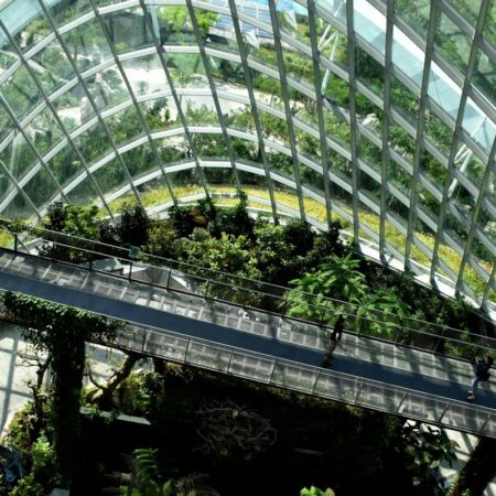 Business Sustainability Leadership