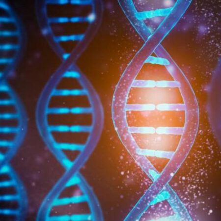 Ancient DNA and the Archaeological Revolution