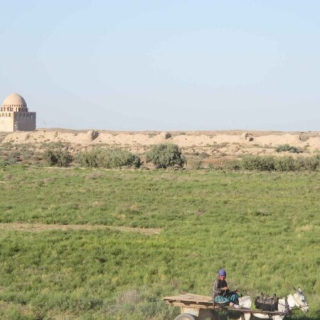 Beneath the Sands: The Archaeology of Silk Road Cities in Central Asia
