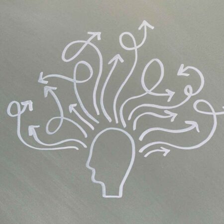 The Human Brain: Cognition, Emotion, and Behaviour