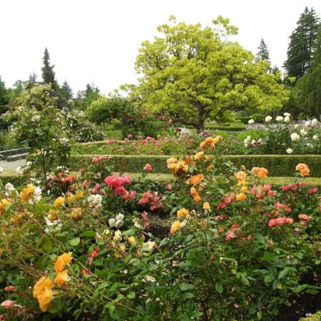 Hidden Lives of Plants: Exploring Adaptation in the Oxford Botanic Garden