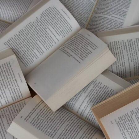 The Modernist 'Day Novel'