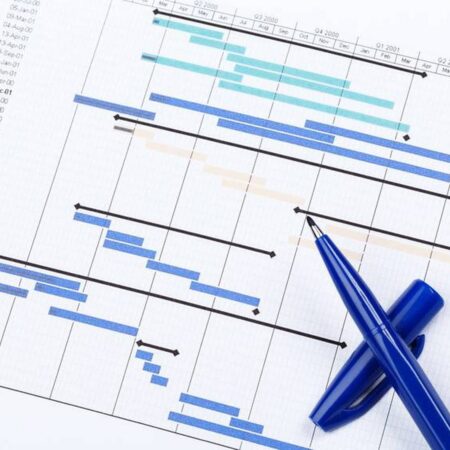 Project Risk Management (online)